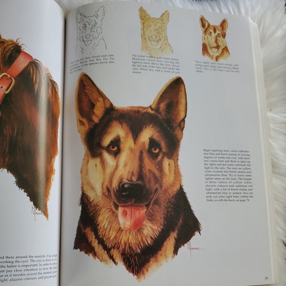 The Art of Watercolor (Collector's Series) Walter Foster 2004 - Picture 10 of 10